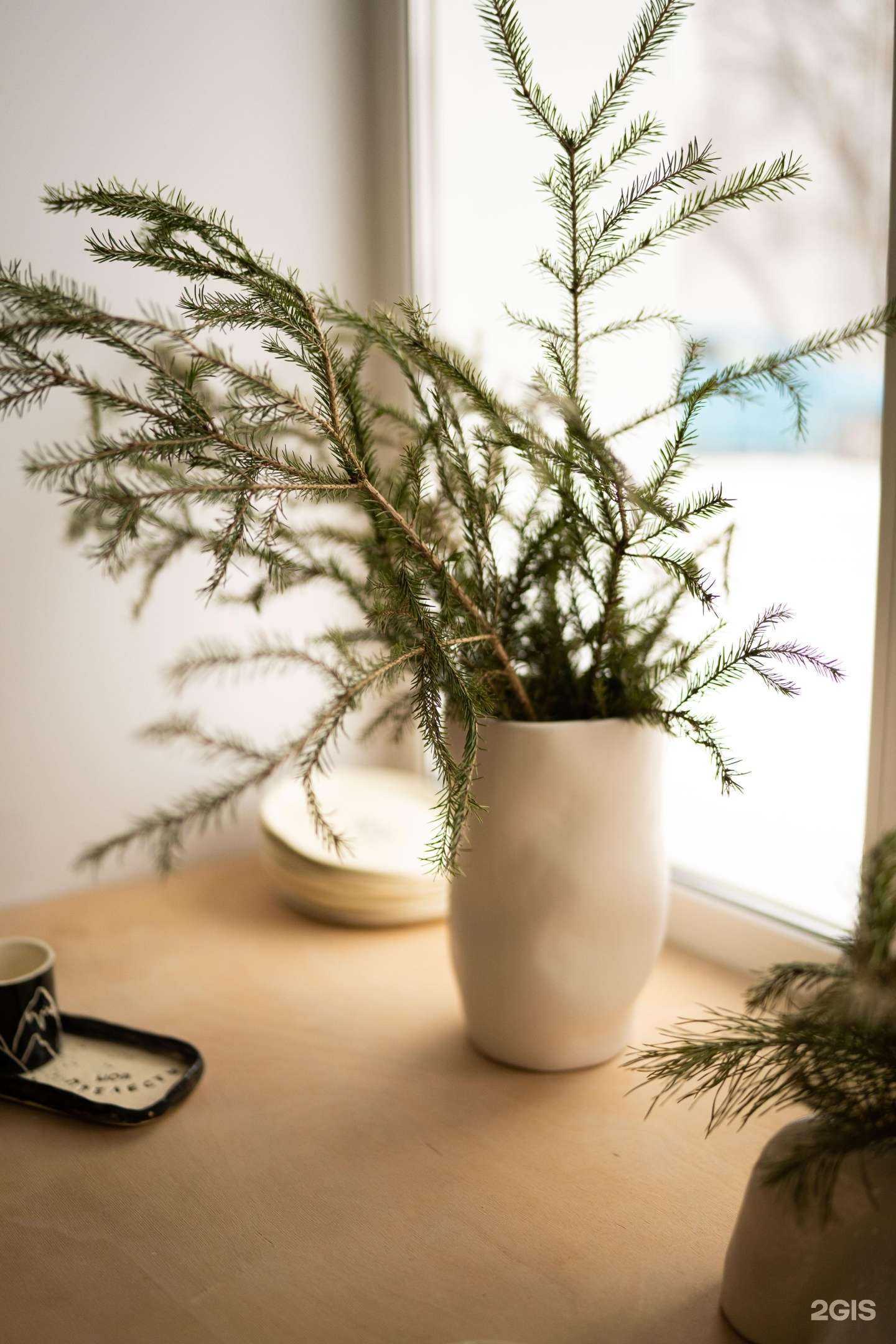 Отзывы на компанию Vaza в Томске c фото