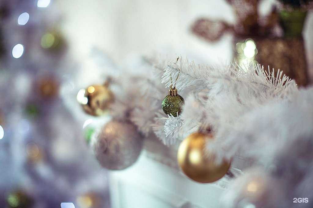 Отзывы на компанию Птичка в Смоленске c фото