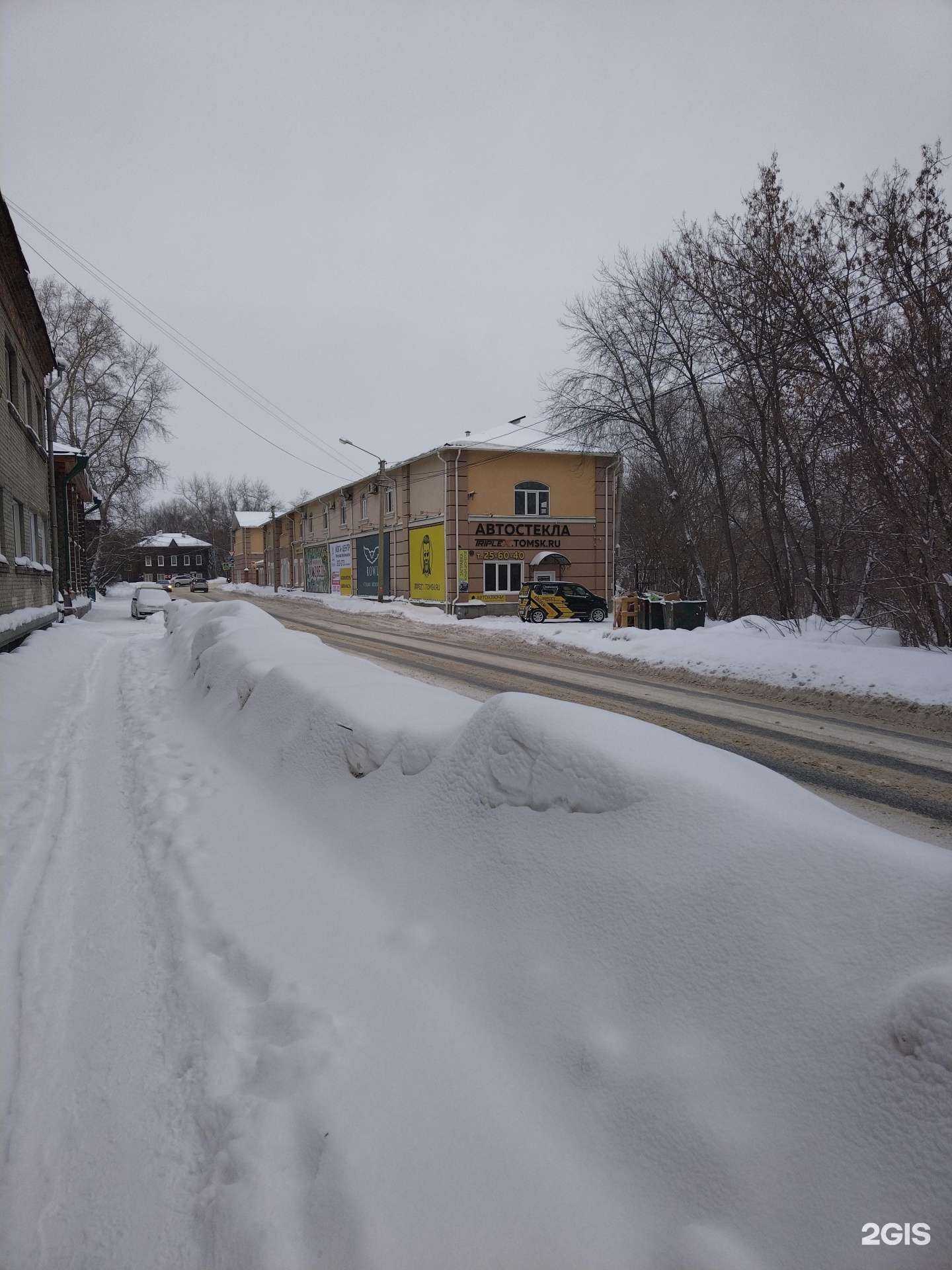 Отзывы на компанию Медведь в Томске c фото - фотография 2 из 2