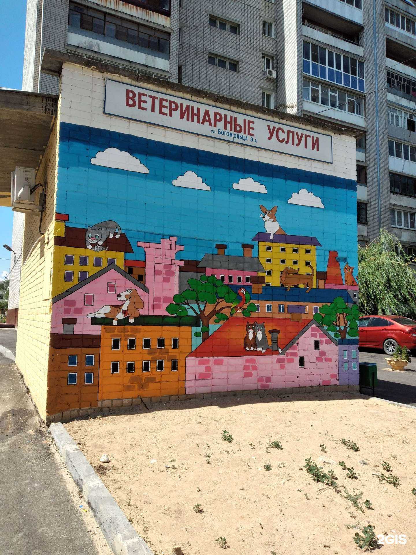 Отзывы на компанию Ветеринарный центр в Волгограде c фото