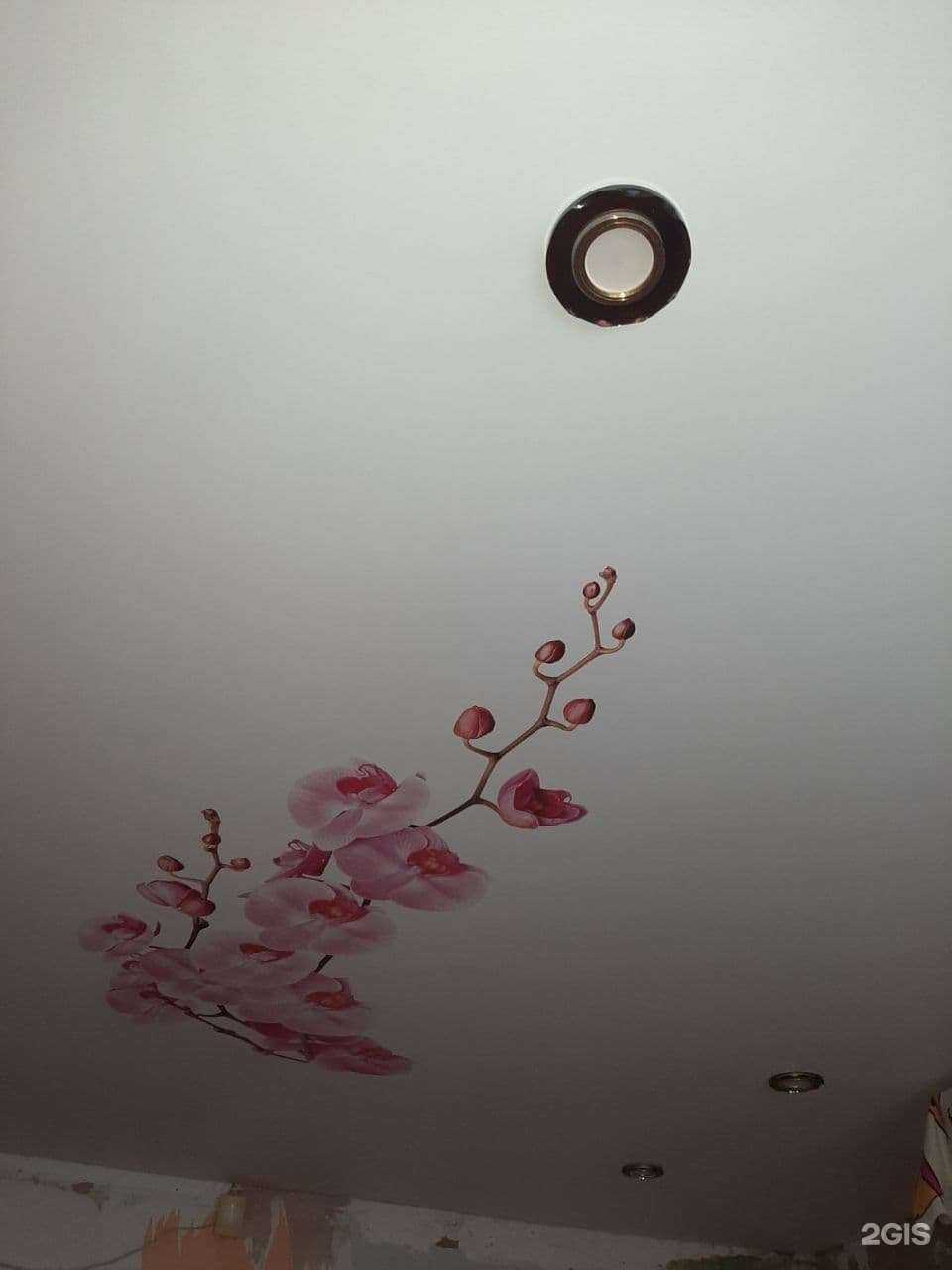 Отзывы на компанию EveRest в г. Чита c фото