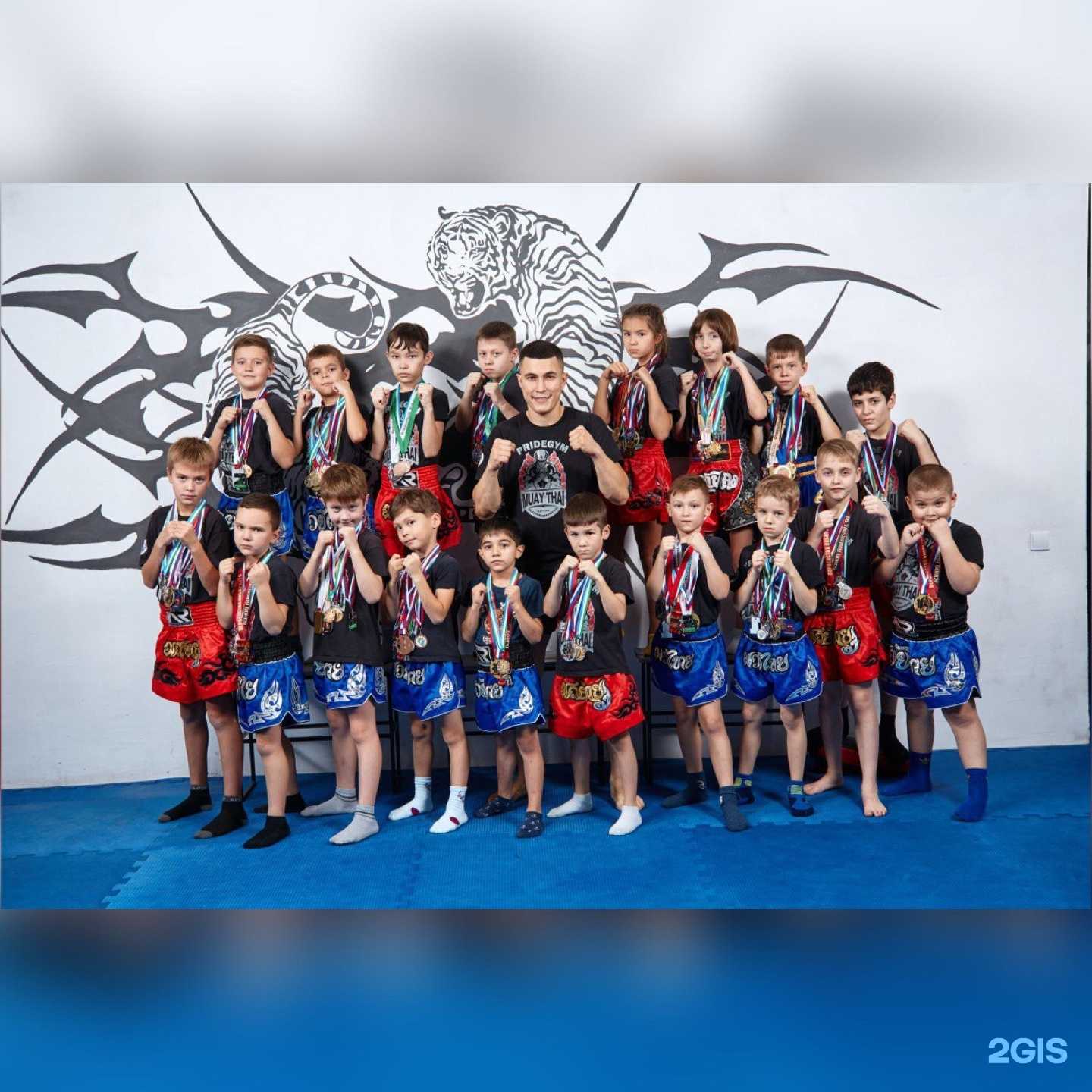 Отзывы на компанию Pride gym в Уфе c фото