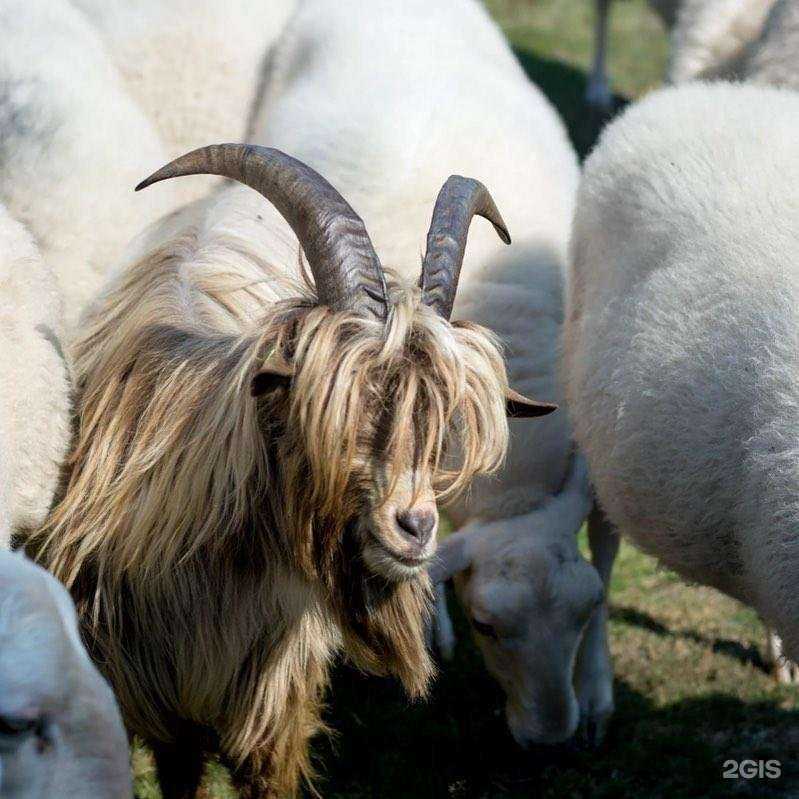 Отзывы на компанию Монастырская лавка в Щёлкове c фото