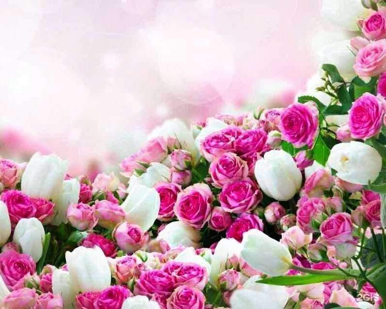 Отзывы на компанию Цветочная лавка в г. Пенза c фото