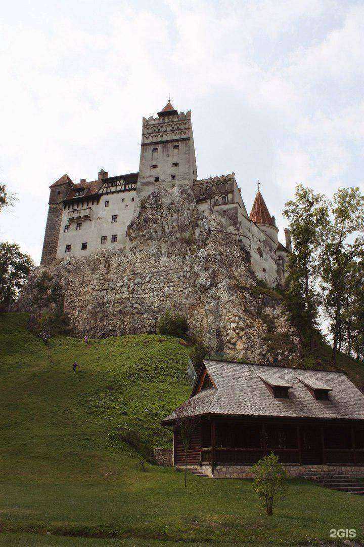 Отзывы на компанию Сибирь-Виза в Новосибирске c фото