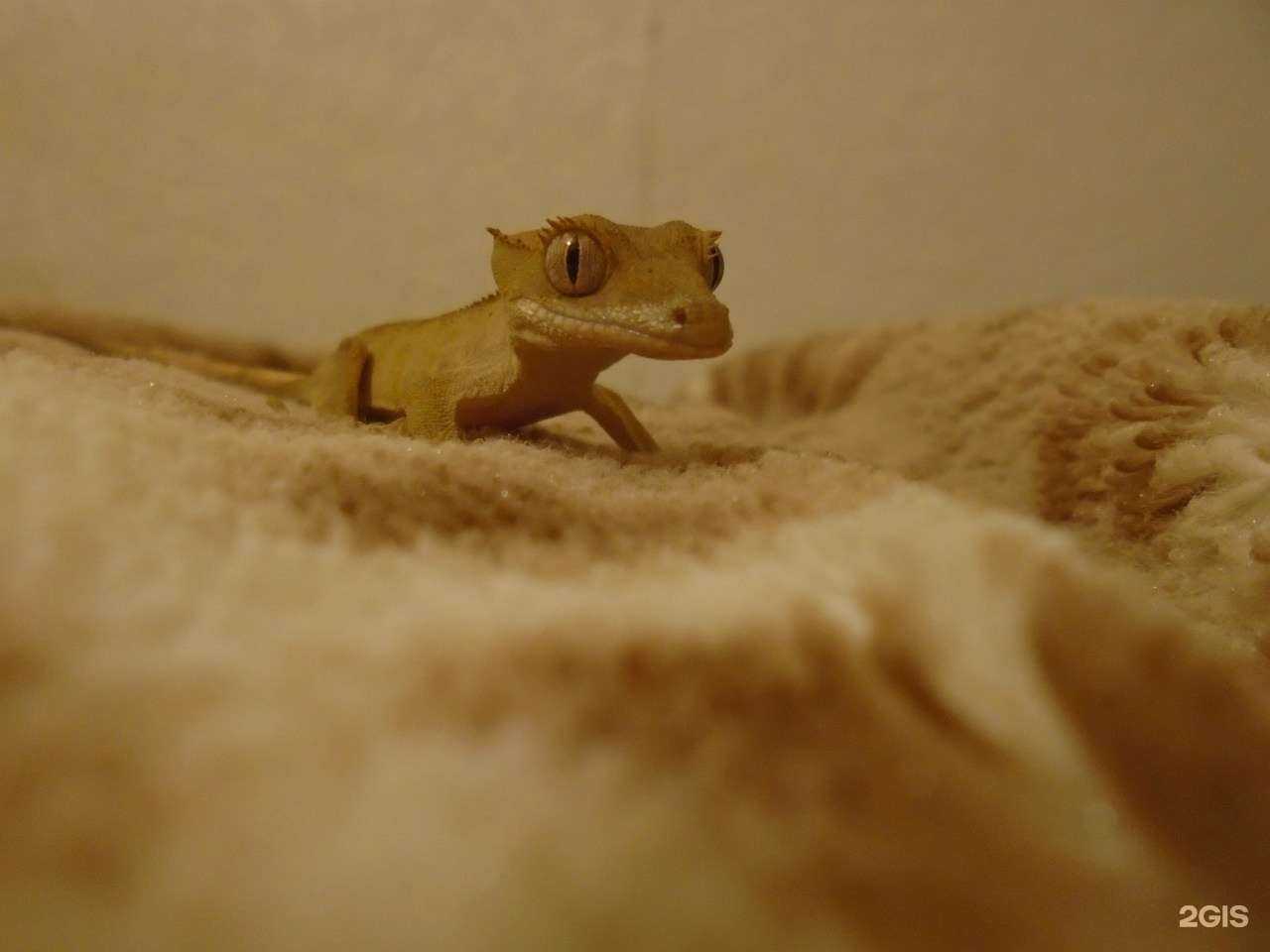 Отзывы на компанию Акватика в г. Волгоград c фото