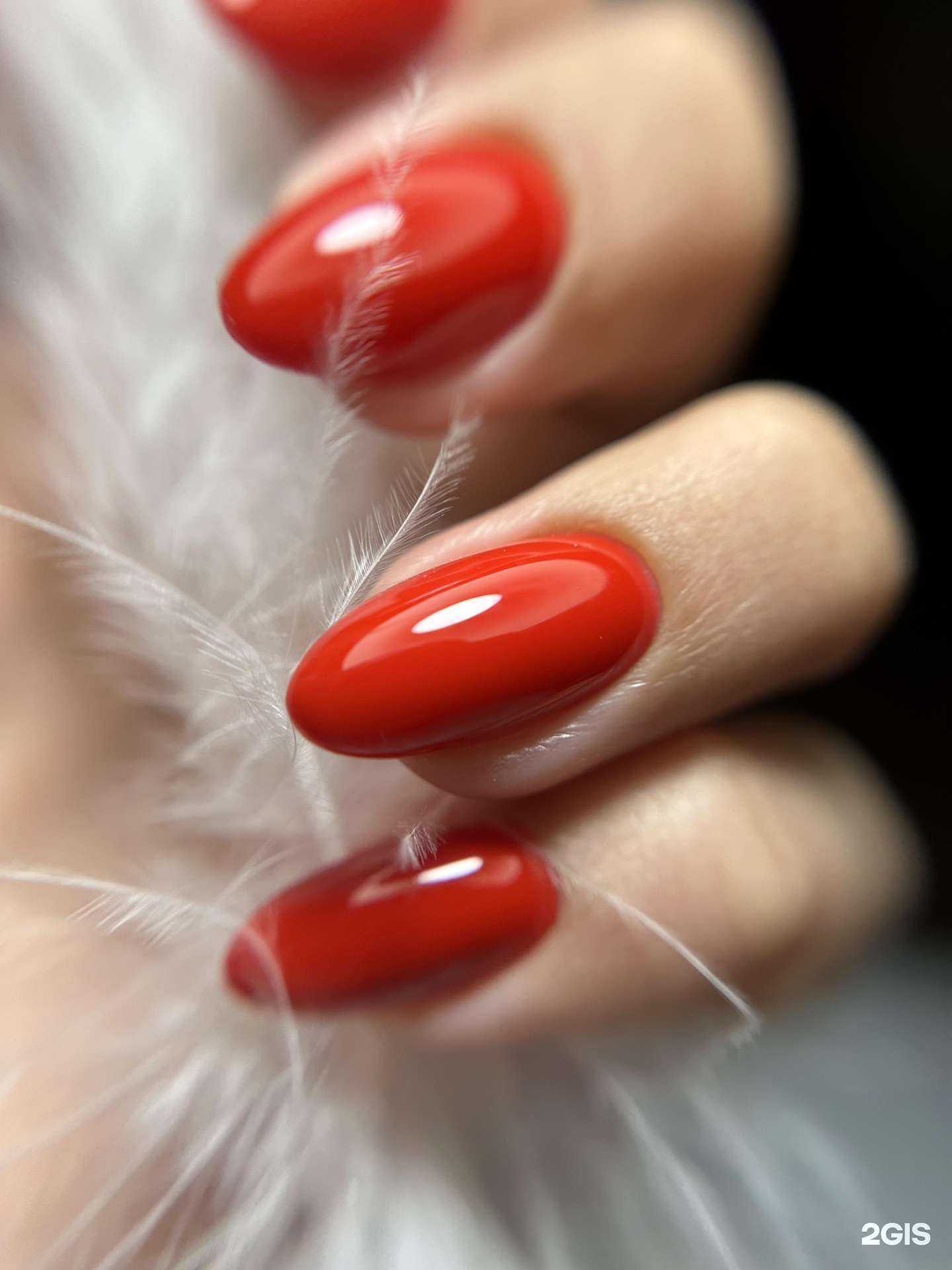 Отзывы на компанию Y. Lab Beauty в Нижнем Новгороде c фото