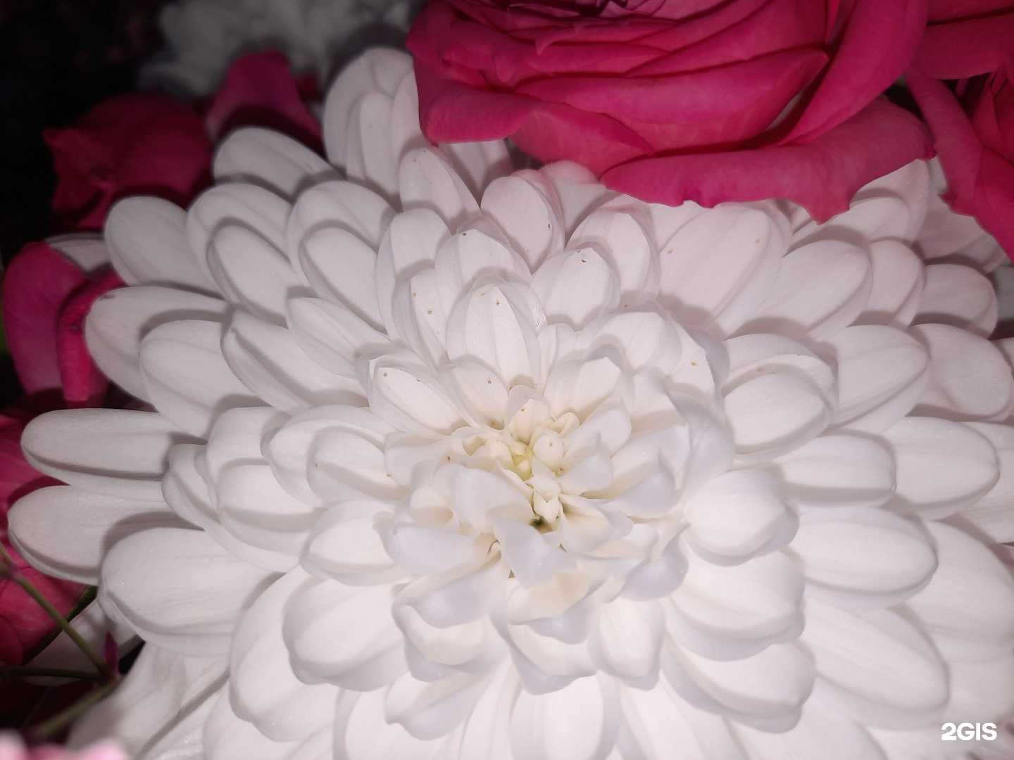 Отзывы на компанию Магазин цветов в Саратове c фото