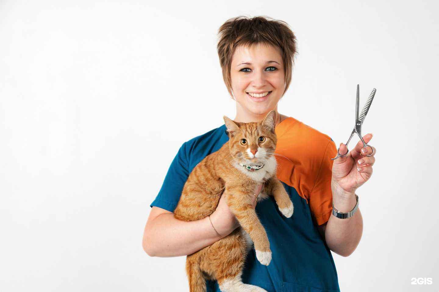 Отзывы на компанию Рыжебок в Оренбурге c фото