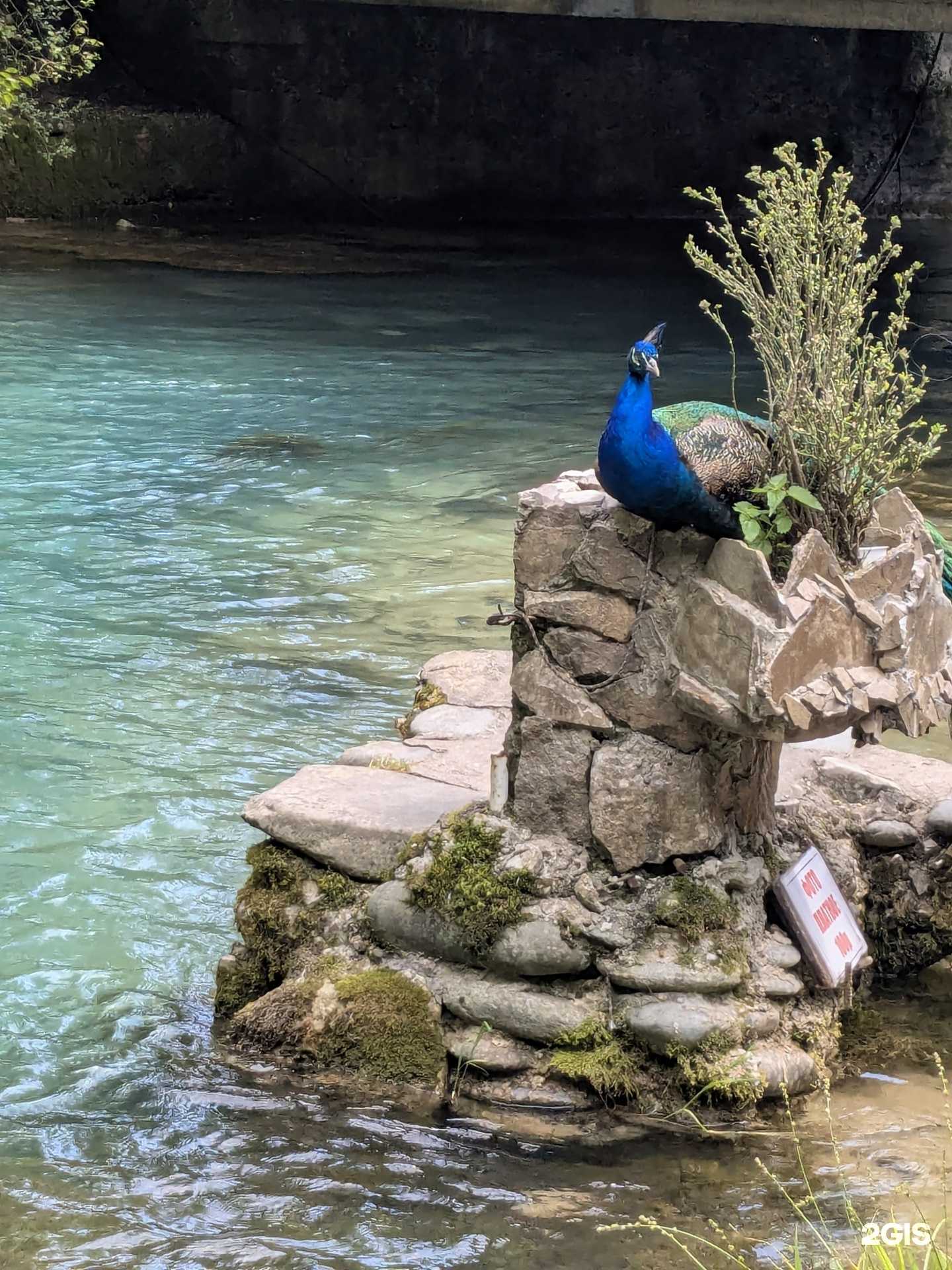 Отзывы на компанию Это Сочи в г. Сочи c фото