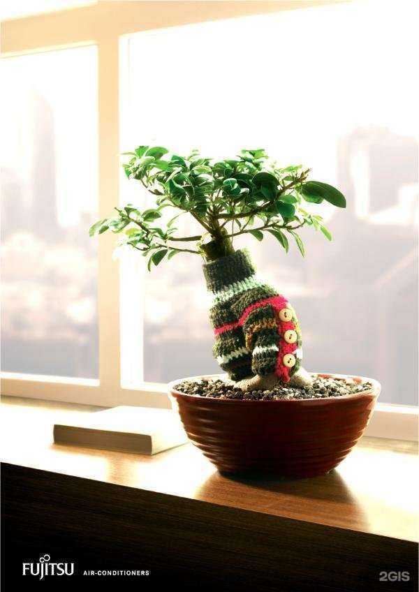 Отзывы на компанию ХолодКомплекс-Север в Кемерове c фото