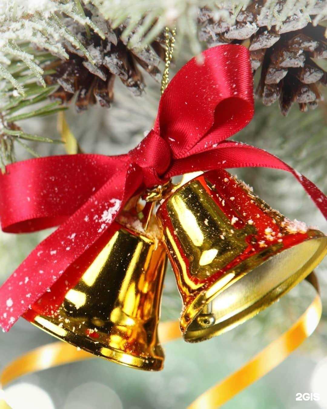 Отзывы на компанию РИРЦ в г. Брянск c фото