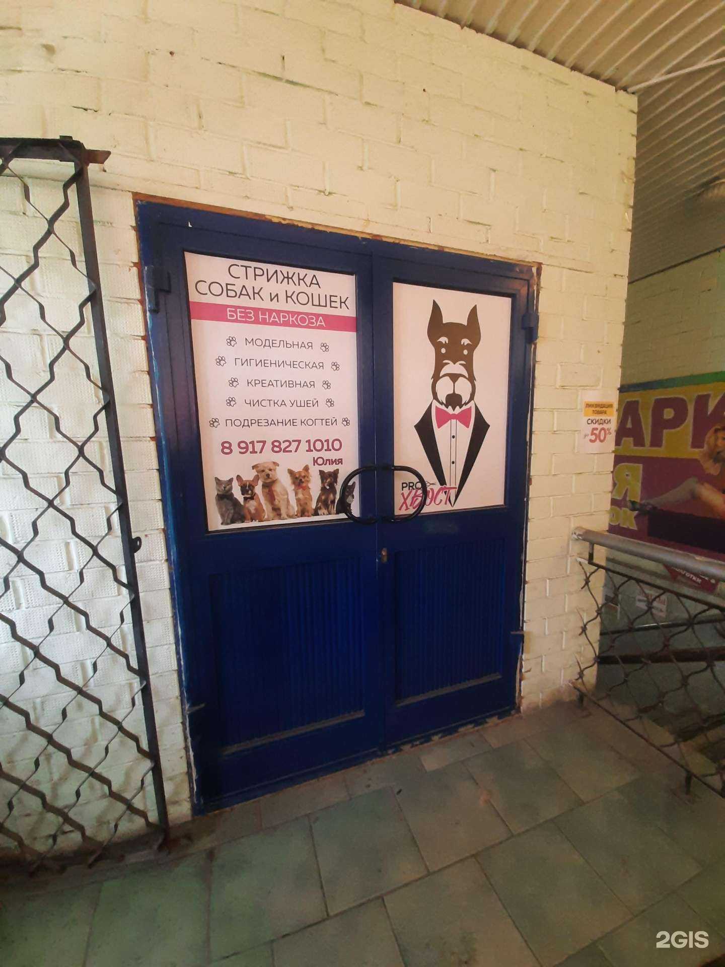 Отзывы на компанию Proхвост в г. Тольятти c фото