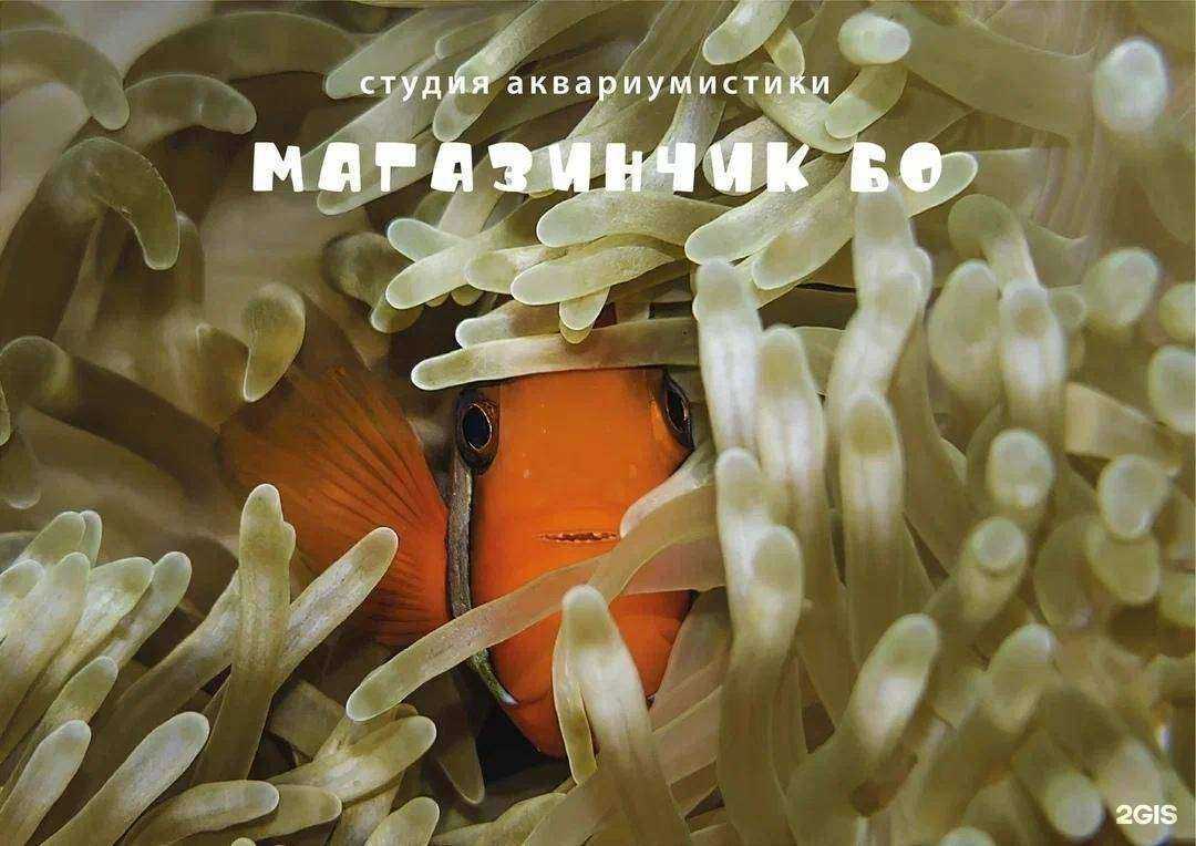 Отзывы на компанию Магазинчик Бо в г. Чебоксары c фото