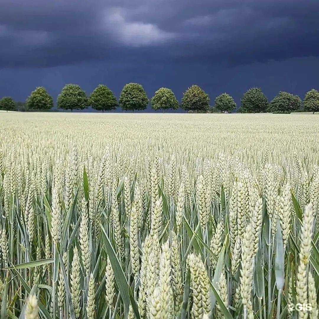 Отзывы на компанию Ника тур в Октябрьском c фото