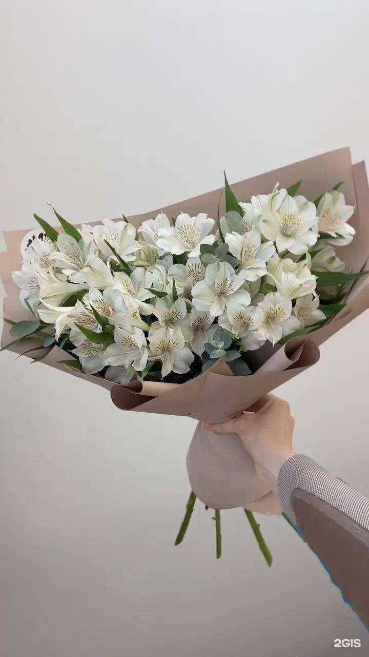 Отзывы на компанию Вивальди в Саратове c фото