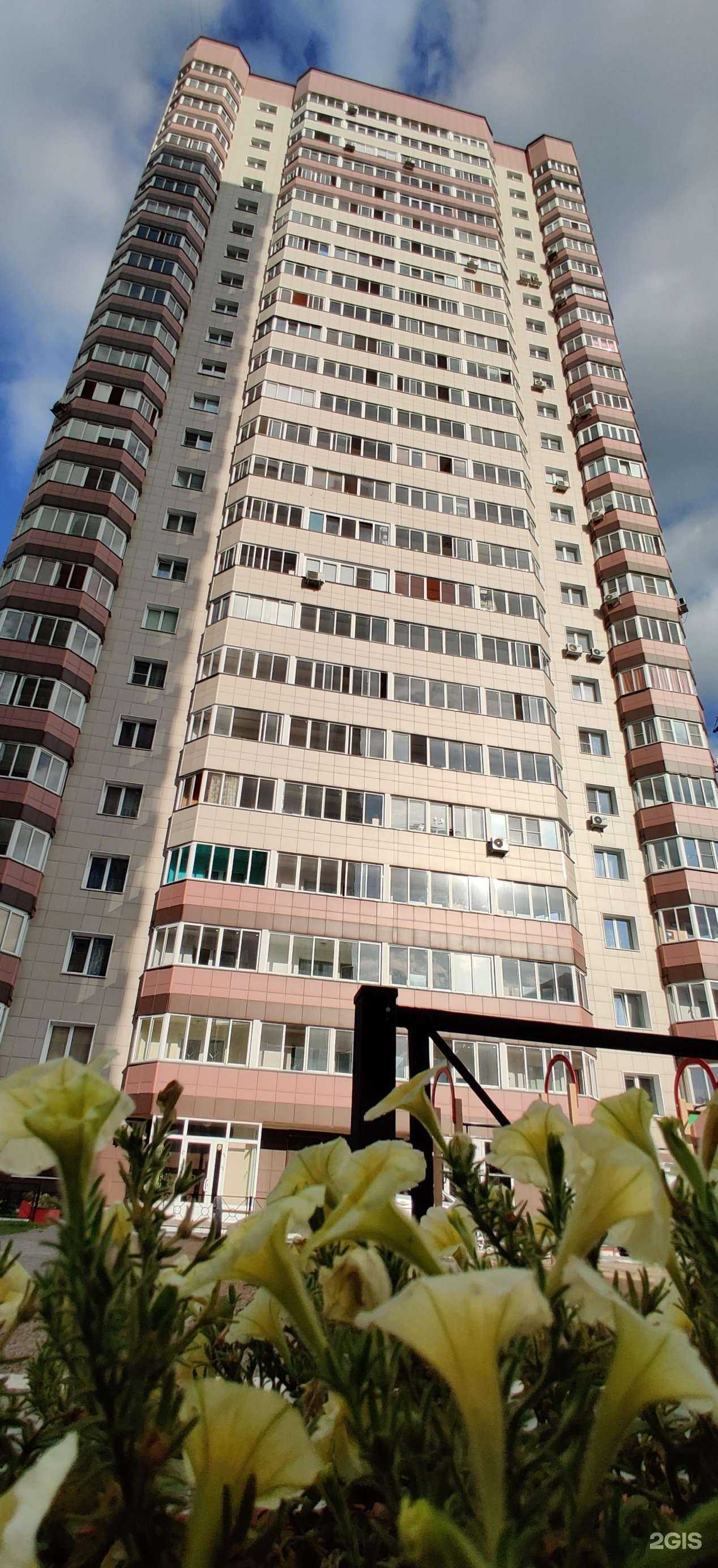 Отзывы на компанию ДелФин в Новосибирске c фото - фотография 2 из 2