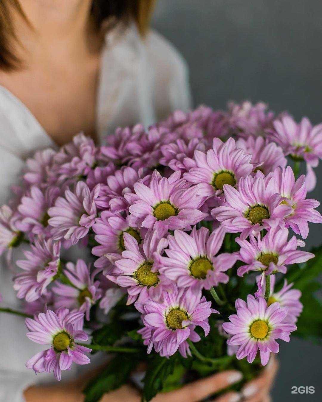 Отзывы на компанию Цветочный маркет в Химках c фото
