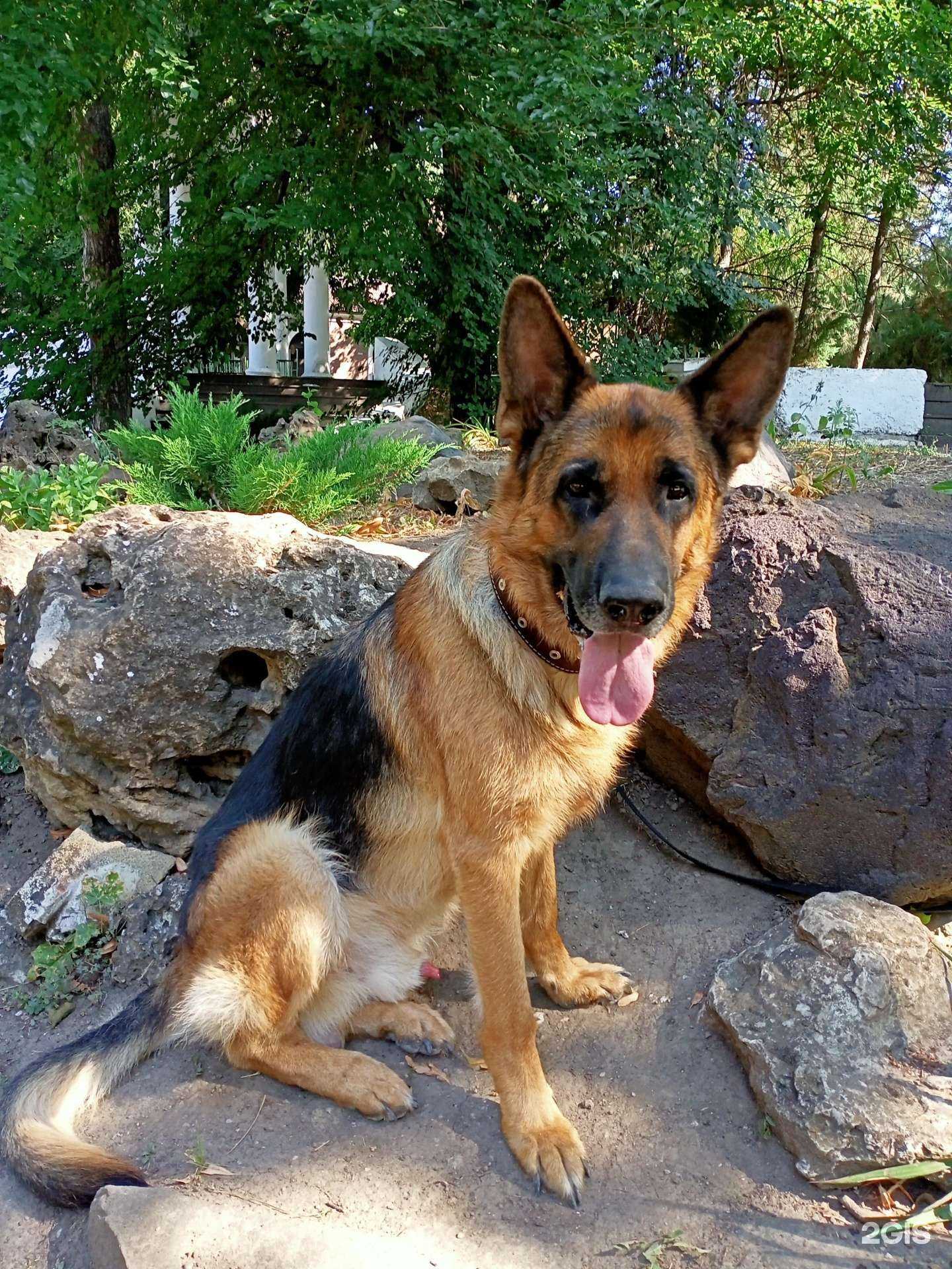 Отзывы на компанию Прайд в Ростове-на-Дону c фото