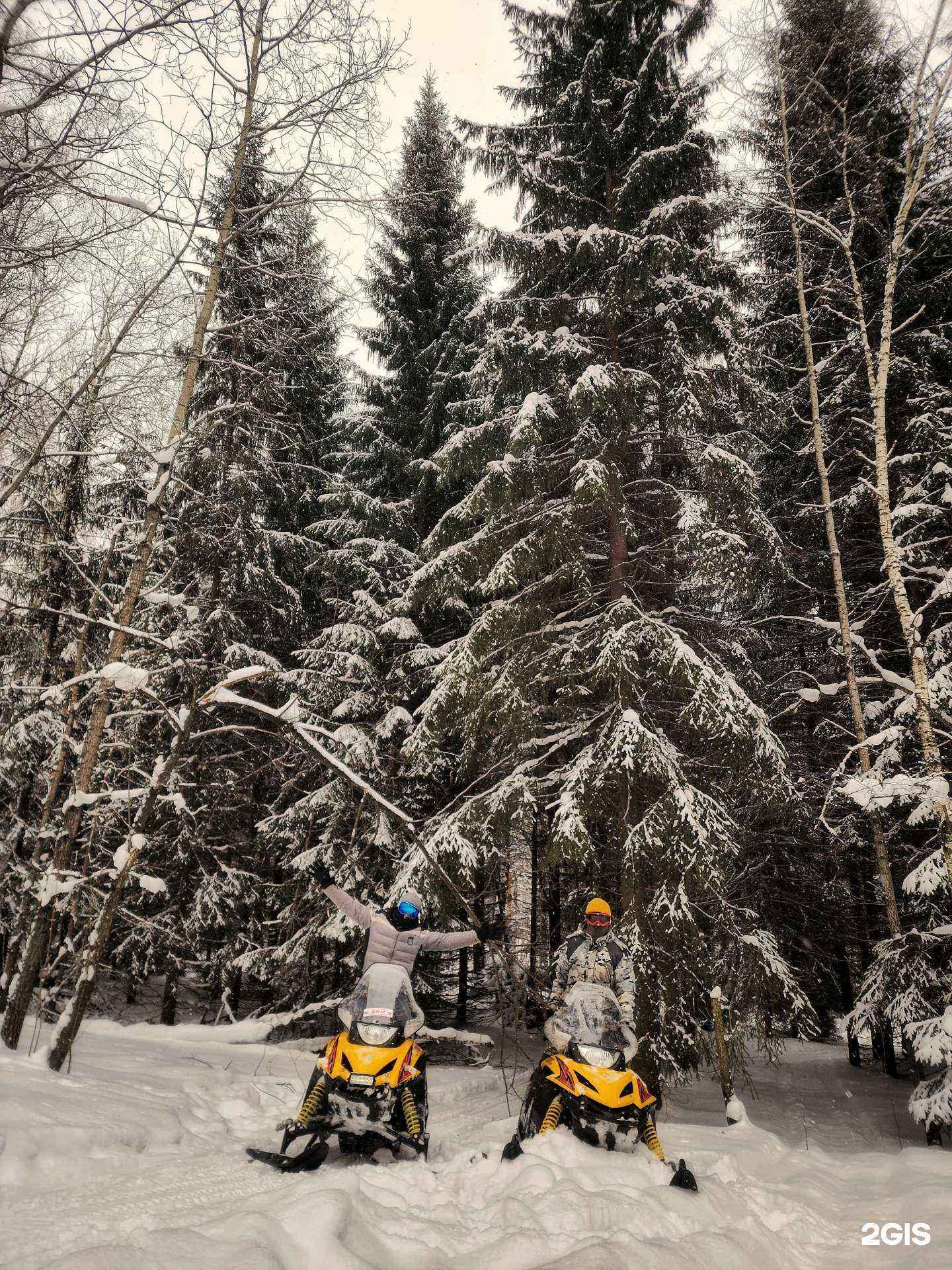 Отзывы на компанию Bft Berdsk Forest Trail в Новосибирске c фото