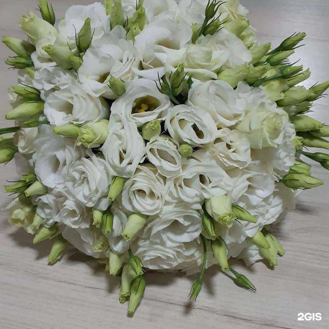 Отзывы на компанию Black.rose в г. Грозный c фото