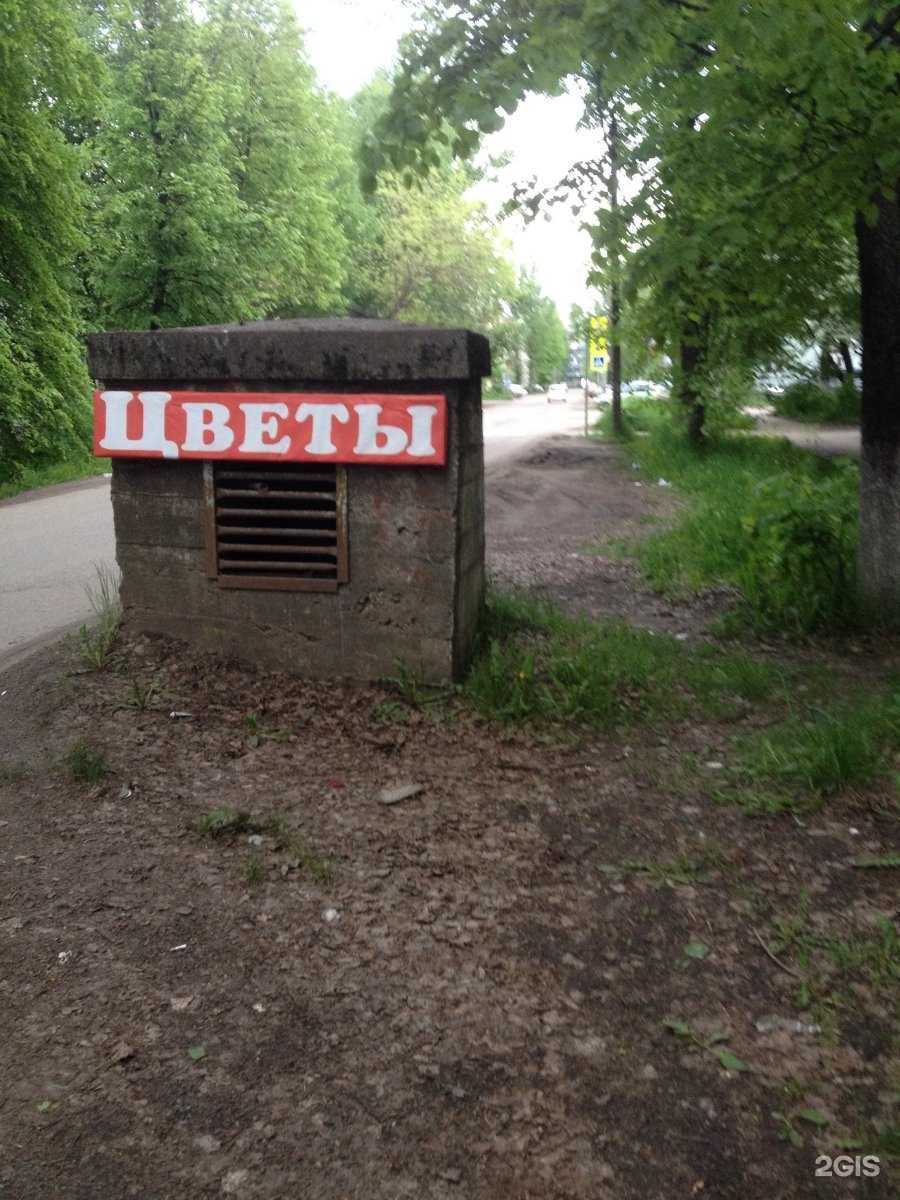 Отзывы на компанию Ермолино в Ярославле c фото - фотография 2 из 2