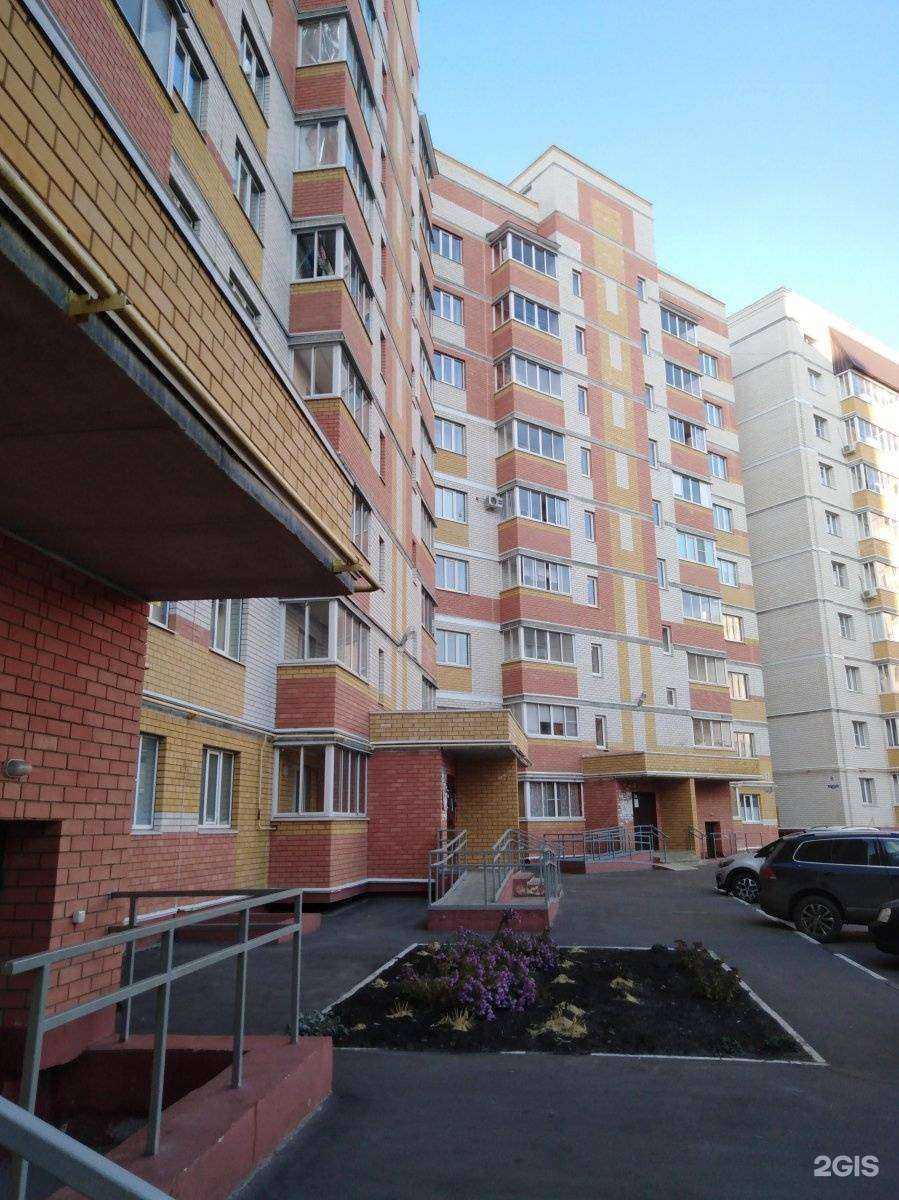 Отзывы на компанию SmartyKids в Тамбове c фото - фотография 2 из 2