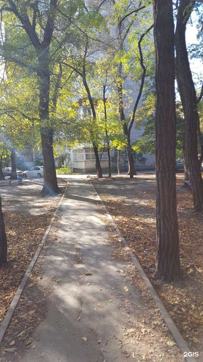 Отзывы на компанию Элина в Ростове-на-Дону c фото - фотография 2 из 2