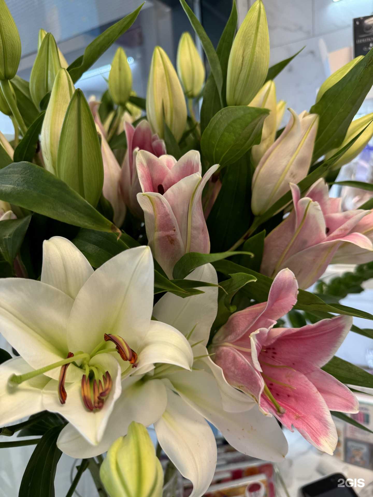 Отзывы на компанию Аромат роз в Тюмени c фото