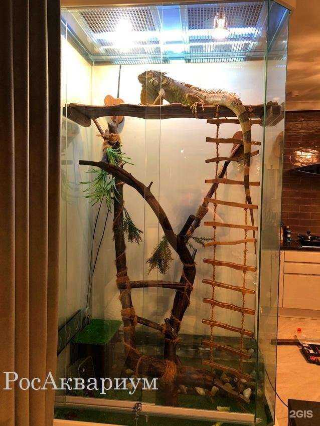 Отзывы на компанию РосАквариум в г. Долгопрудный c фото
