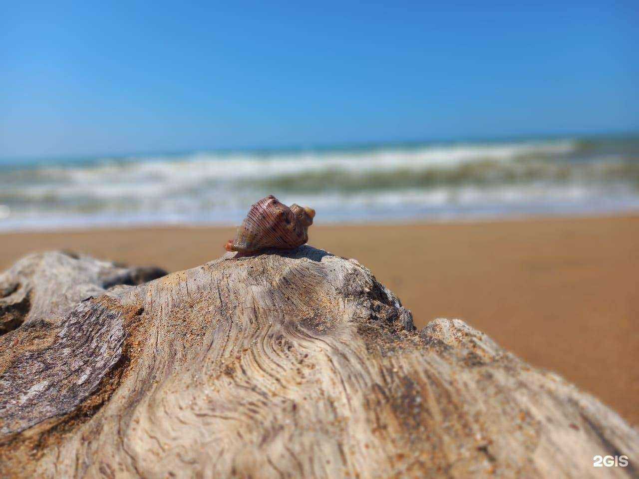 Отзывы на компанию Мир в Коркине c фото