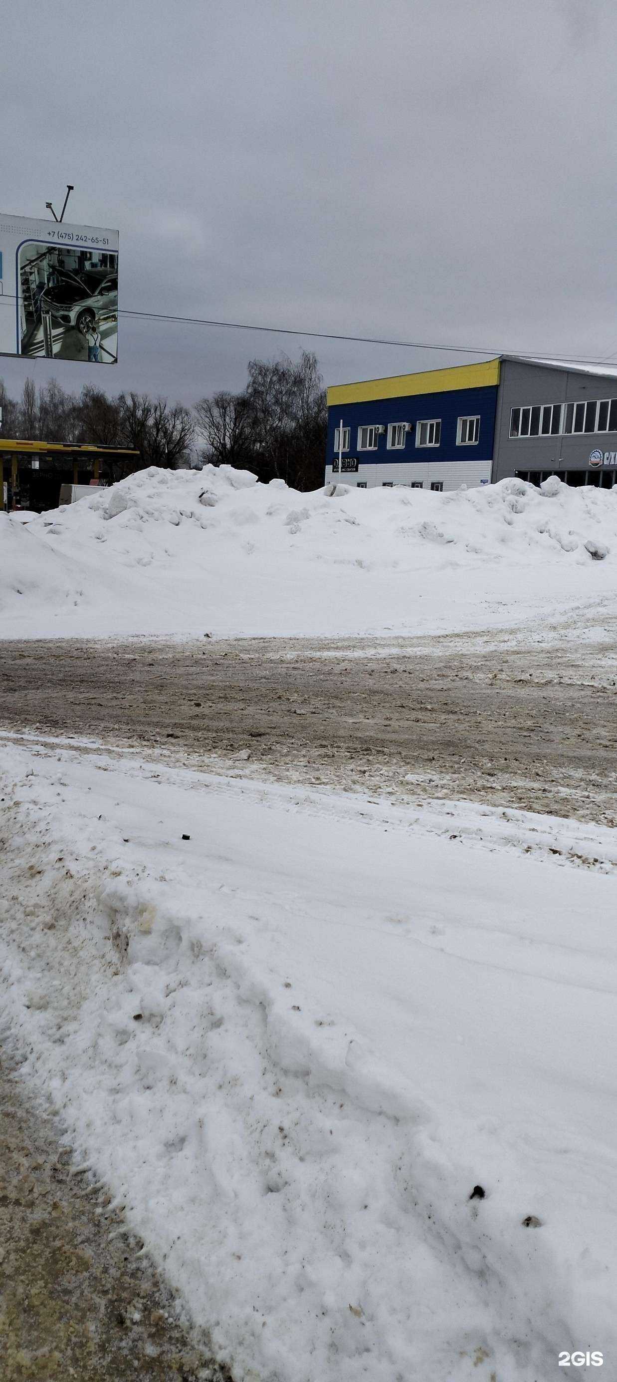 Отзывы на компанию С/Х Маркет в Тамбове c фото