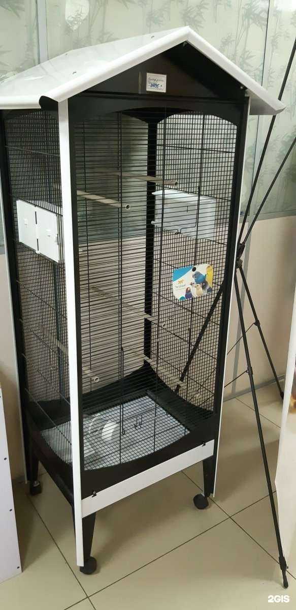 Отзывы на компанию Кошки-Мышки в Владивостоке c фото