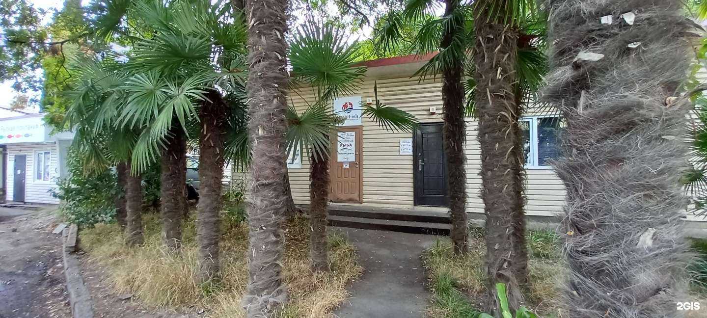 Отзывы на компанию Sochifish в Сочи c фото - фотография 2 из 2