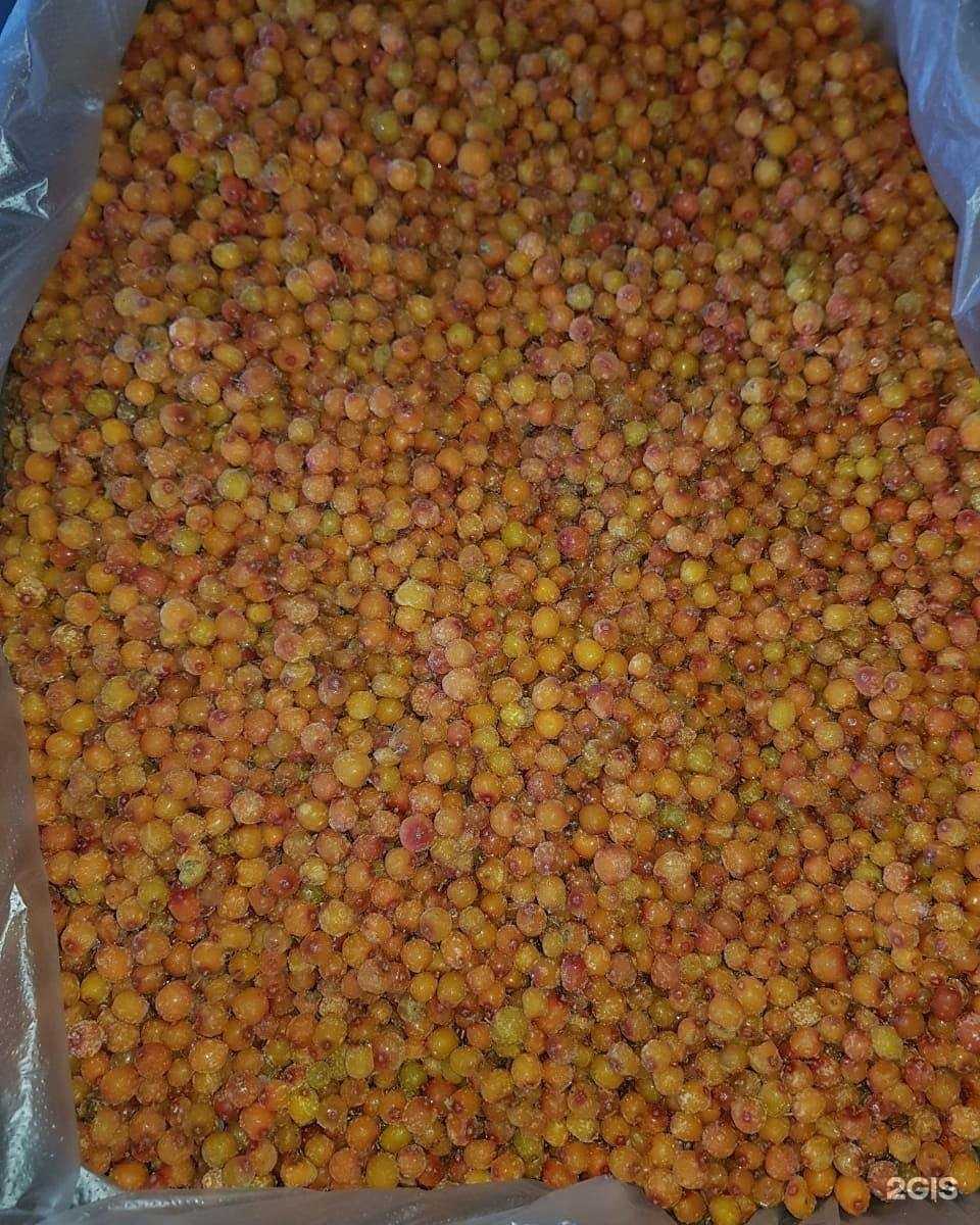 Отзывы на компанию Компания по продаже замороженной продукции в г. Кисловодск c фото