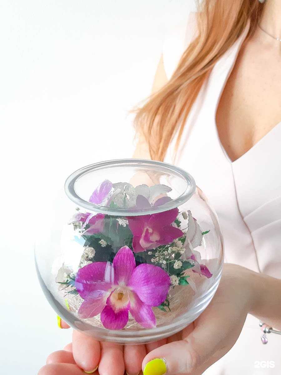 Отзывы на компанию Натфлора в Новосибирске c фото