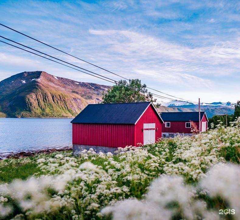Отзывы на компанию Медэкспресс в Петрозаводске c фото