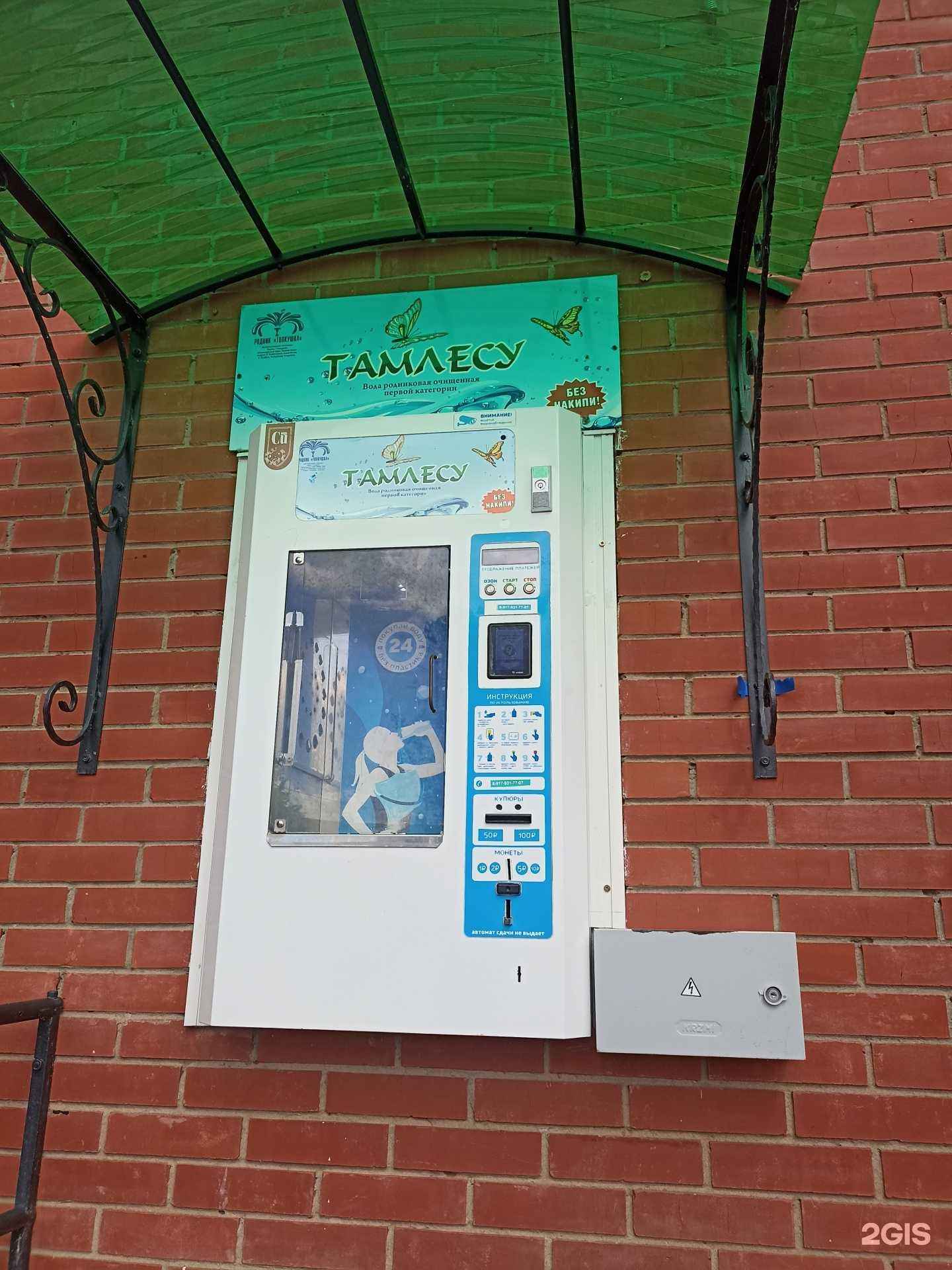 Отзывы на компанию Тамлесу в г. Елабуга c фото