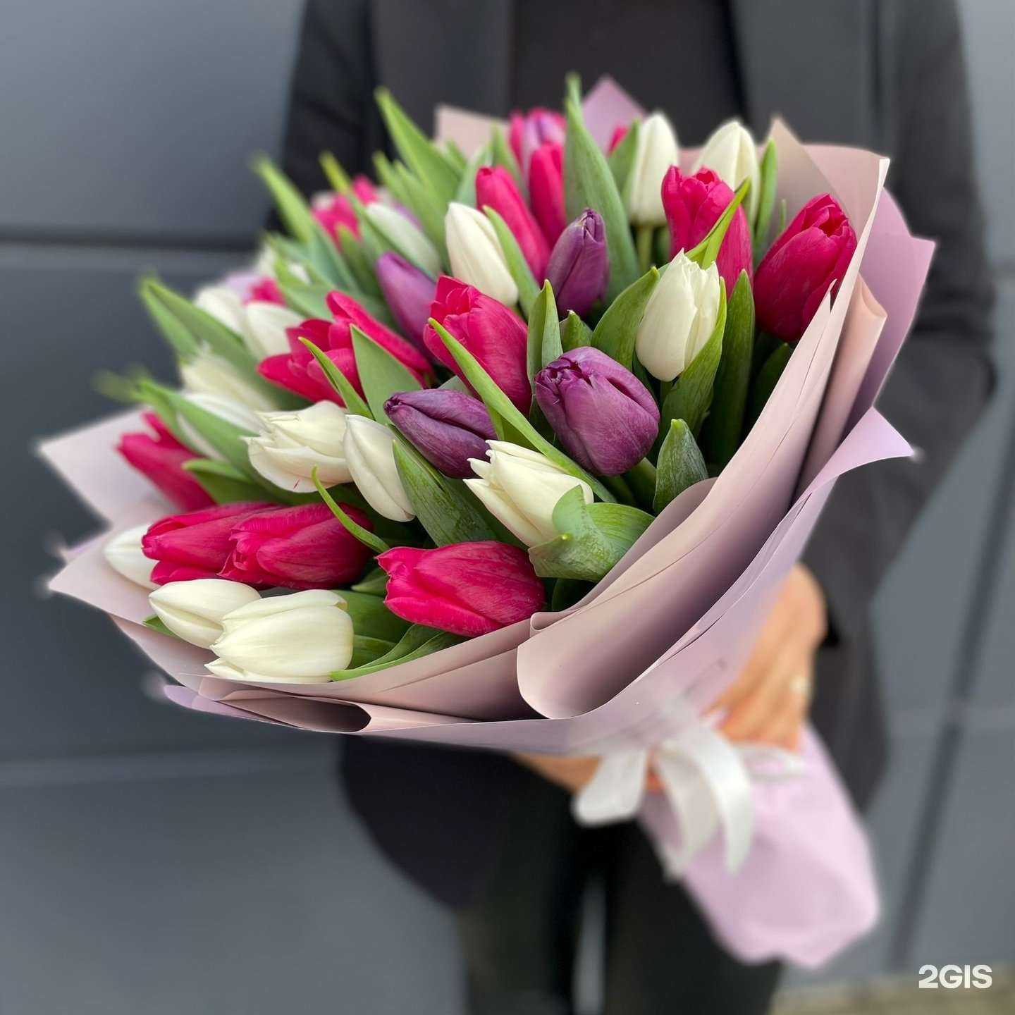 Отзывы на компанию Amsterdam в Владимире c фото