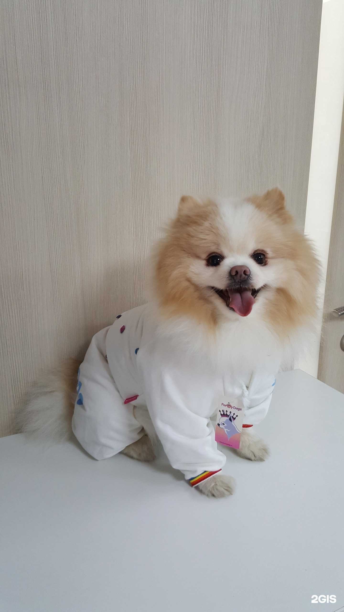 Отзывы на компанию Друг в г. Омск c фото