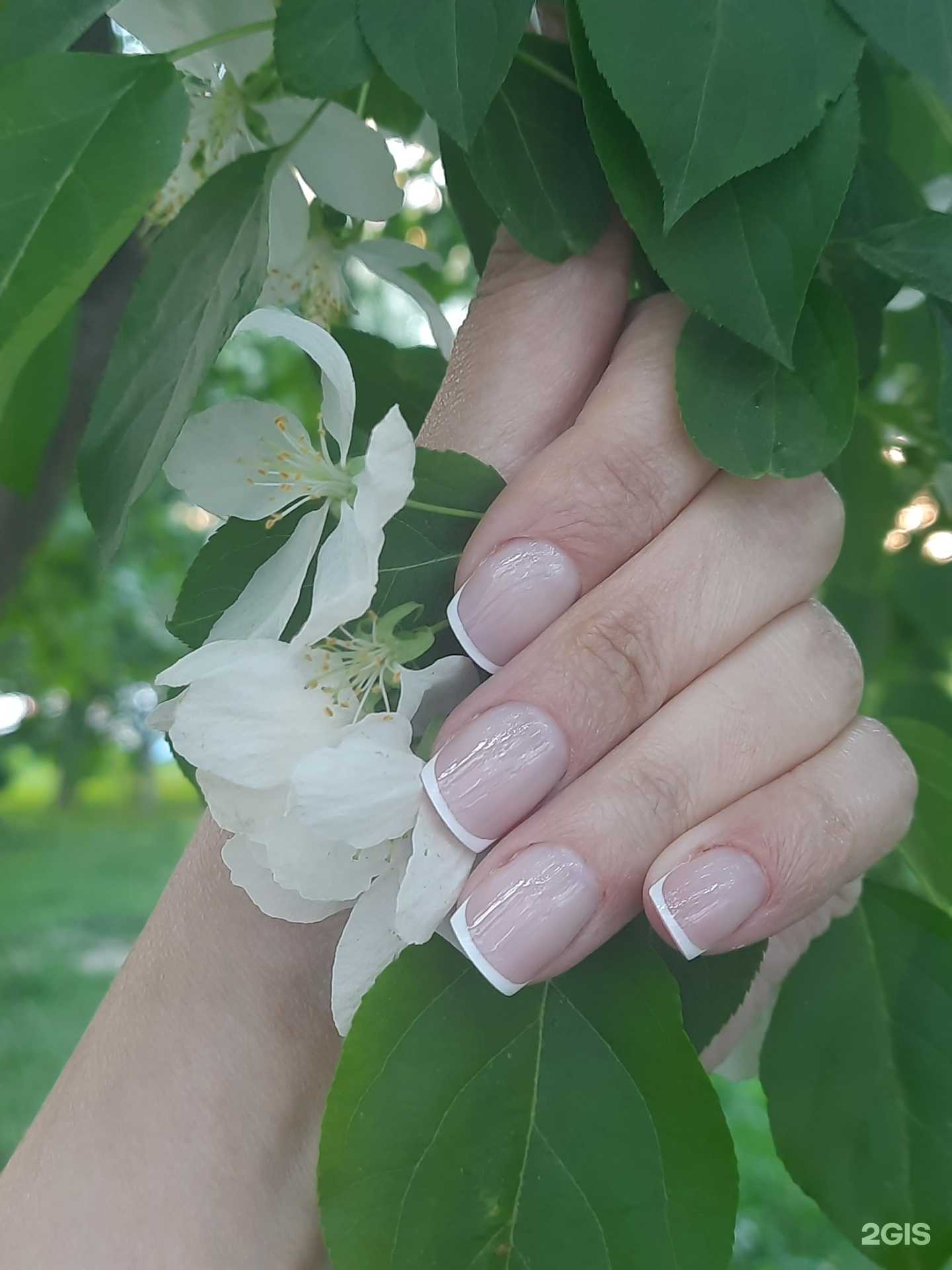 Отзывы на компанию Napilnik nail в г. Северск c фото