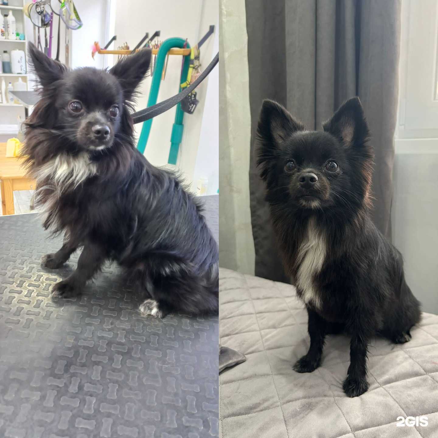 Отзывы на компанию Черный Бим в Чебоксарах c фото