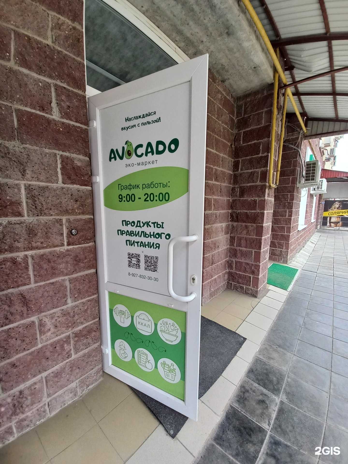 Отзывы на компанию Avocado в Димитровграде c фото