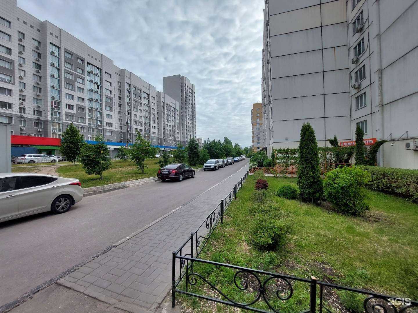 Отзывы на компанию Ромашка в Воронеже c фото - фотография 2 из 2