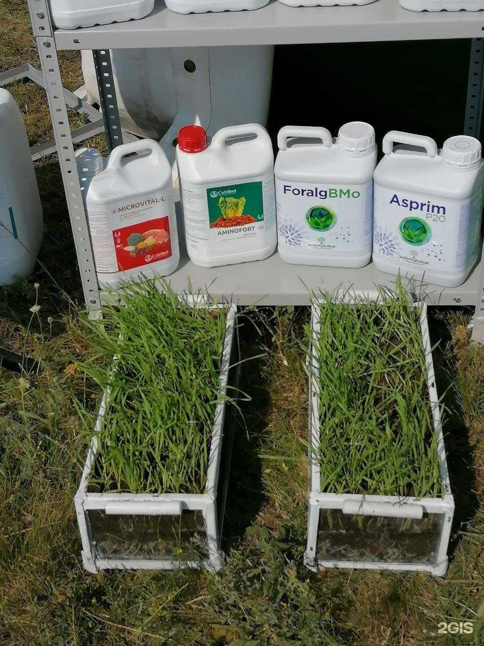 Отзывы на компанию Комбинат агротехнологий Азур-Нива в Оренбурге c фото