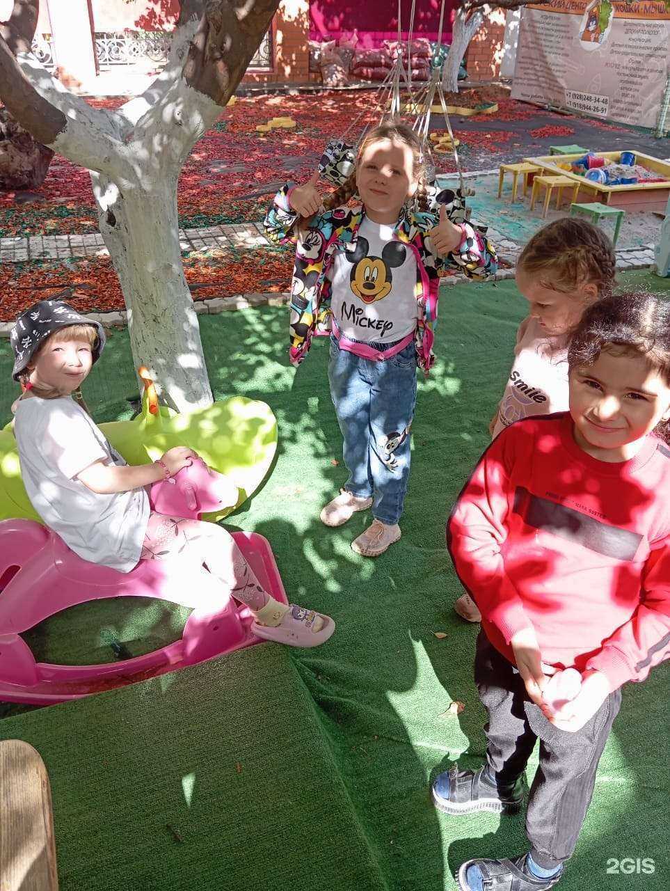 Отзывы на компанию Кошки-Мышки в Анапе c фото