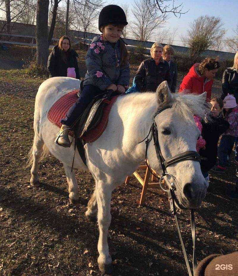 Отзывы на компанию Виола в Сызрани c фото