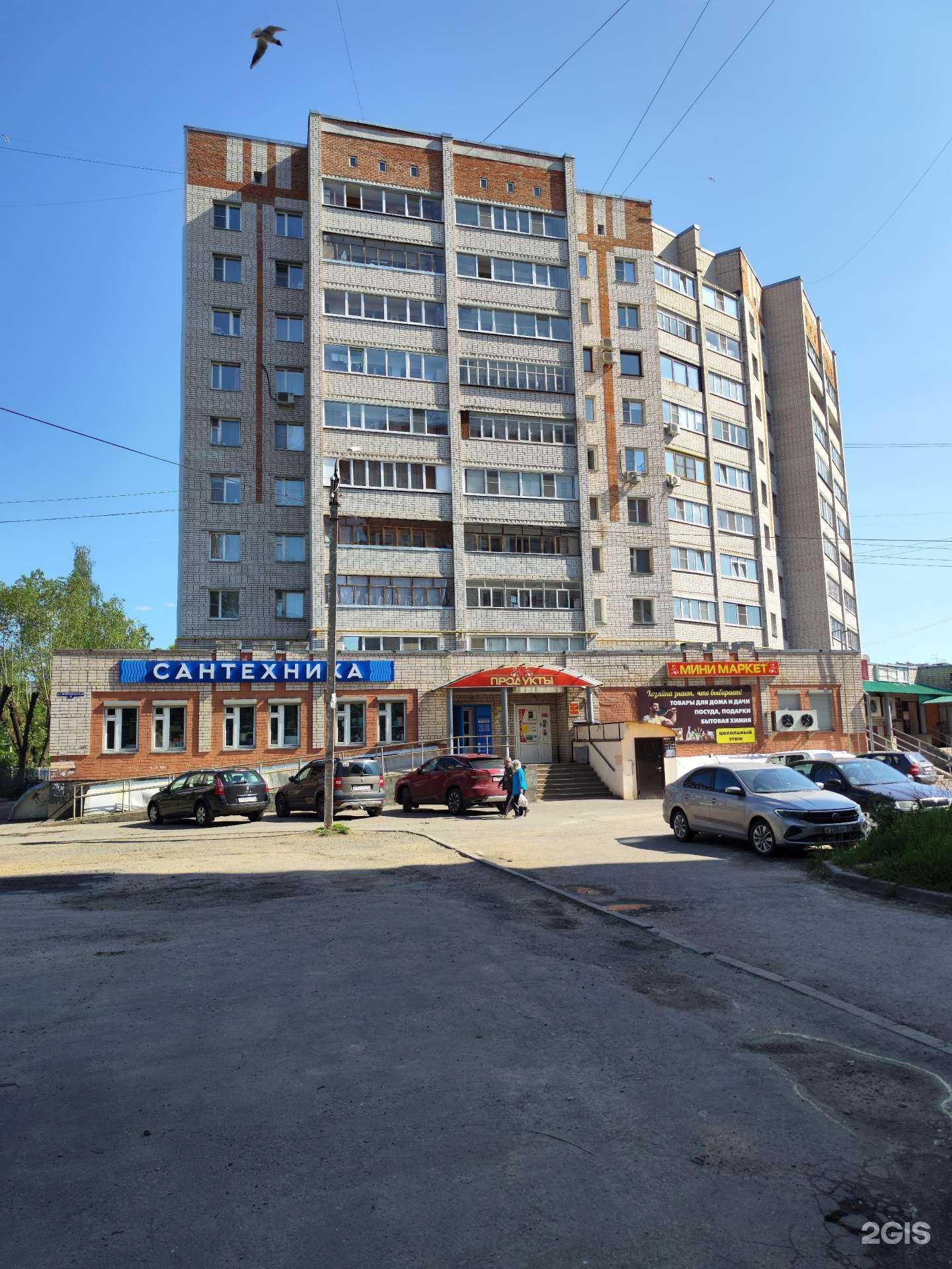 Отзывы на компанию Лапа в Вологде c фото - фотография 2 из 2