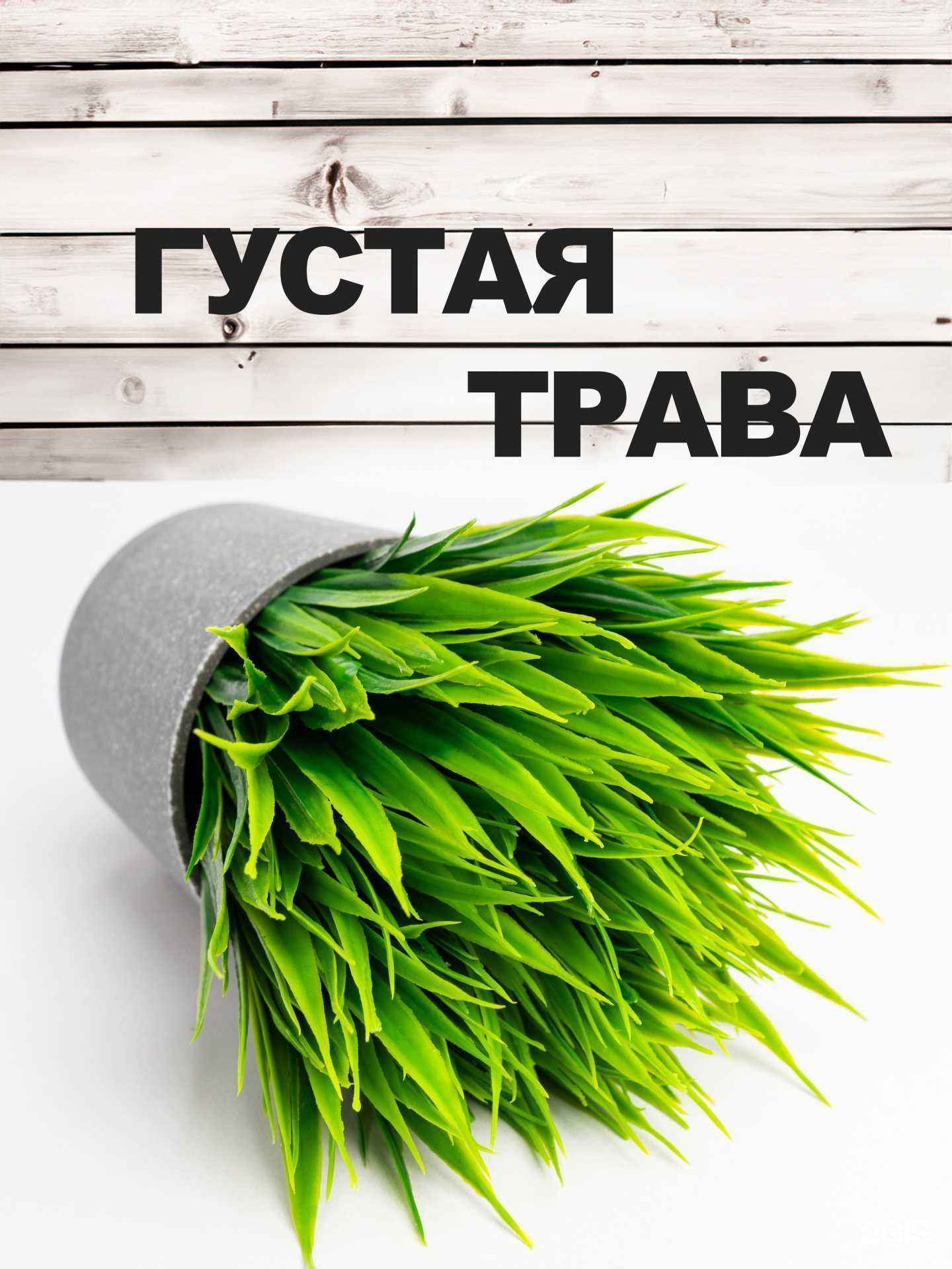 Отзывы на компанию ProФото в Ставрополе c фото