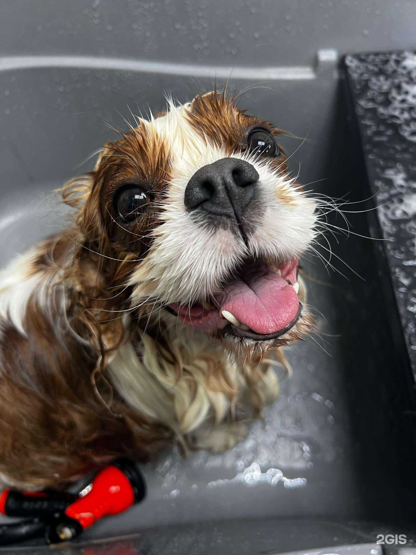 Отзывы на компанию Моя булочка в г. Ростов-на-Дону c фото